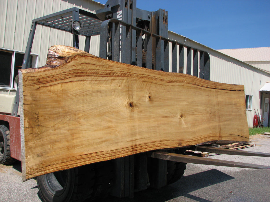 Cottonwood #7409(OC) - 2" x 30" to 35" x 142" FREE SHIPPING within the Contiguous US. freeshipping - Big Wood Slabs