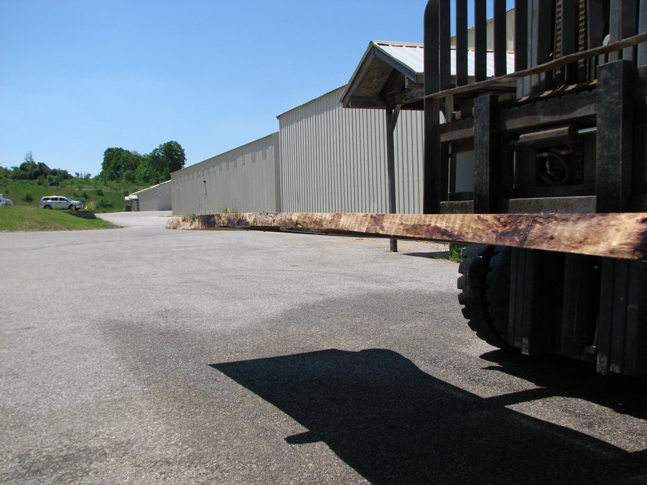 Cottonwood #7409(OC) - 2" x 30" to 35" x 142" FREE SHIPPING within the Contiguous US. freeshipping - Big Wood Slabs