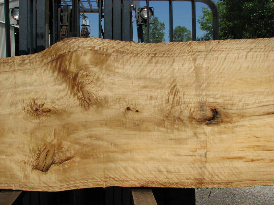 Cottonwood #7412(OC) - 2" x 31" to 39" x 127" FREE SHIPPING within the Contiguous US. freeshipping - Big Wood Slabs