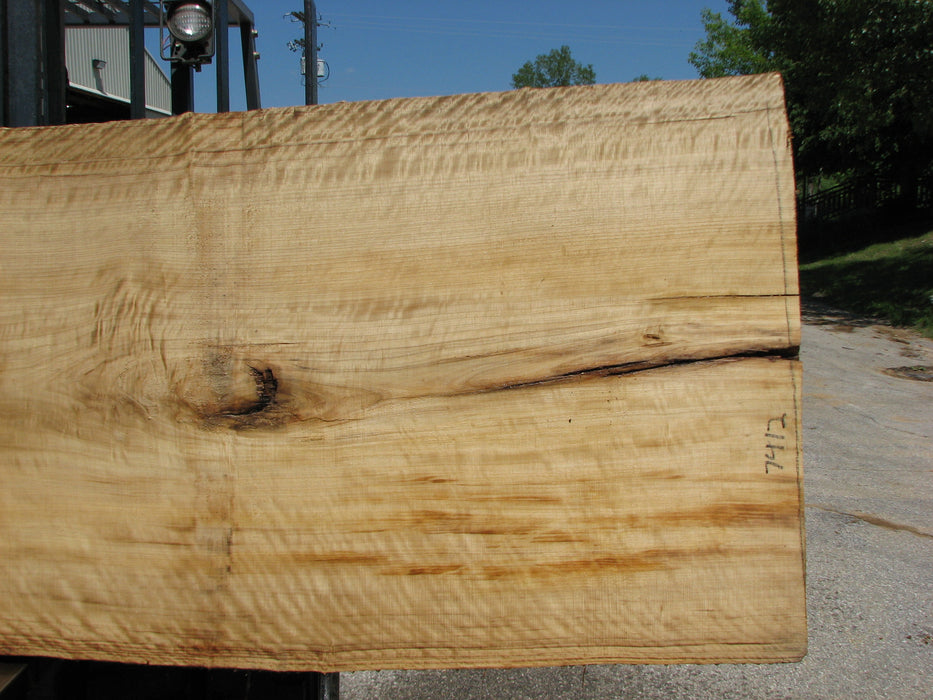 Cottonwood #7412(OC) - 2" x 31" to 39" x 127" FREE SHIPPING within the Contiguous US. freeshipping - Big Wood Slabs