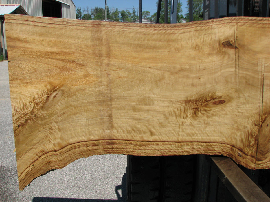 Cottonwood #7412(OC) - 2" x 31" to 39" x 127" FREE SHIPPING within the Contiguous US. freeshipping - Big Wood Slabs