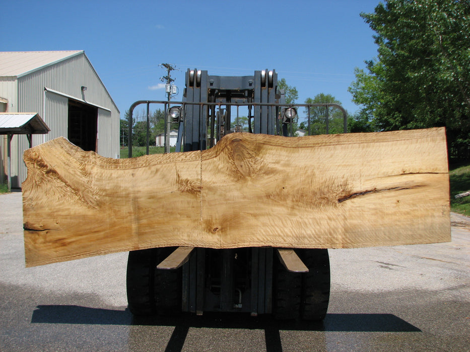 Cottonwood #7413(OC) - 2-3/4" x 29" to 40" x 141" FREE SHIPPING within the Contiguous US. freeshipping - Big Wood Slabs