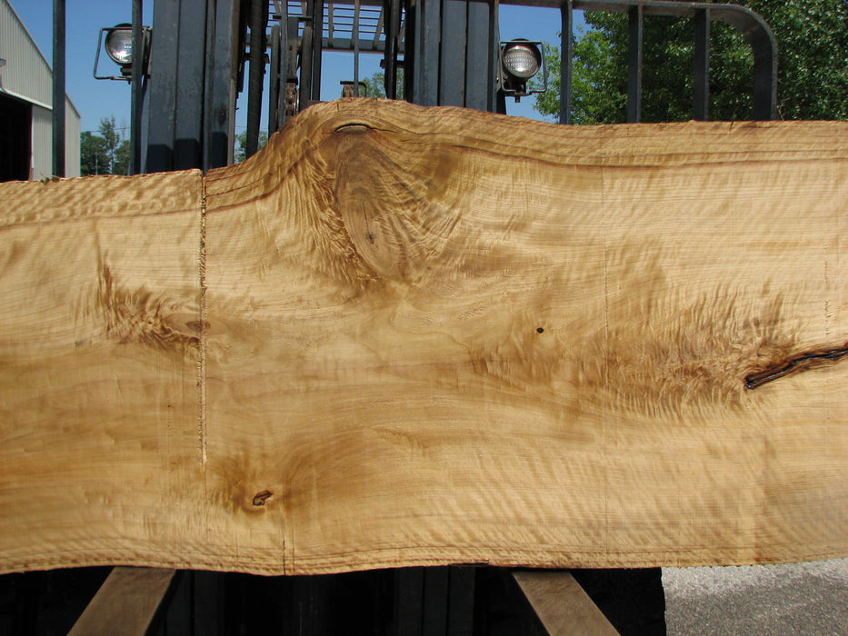 Cottonwood #7413(OC) - 2-3/4" x 29" to 40" x 141" FREE SHIPPING within the Contiguous US. freeshipping - Big Wood Slabs