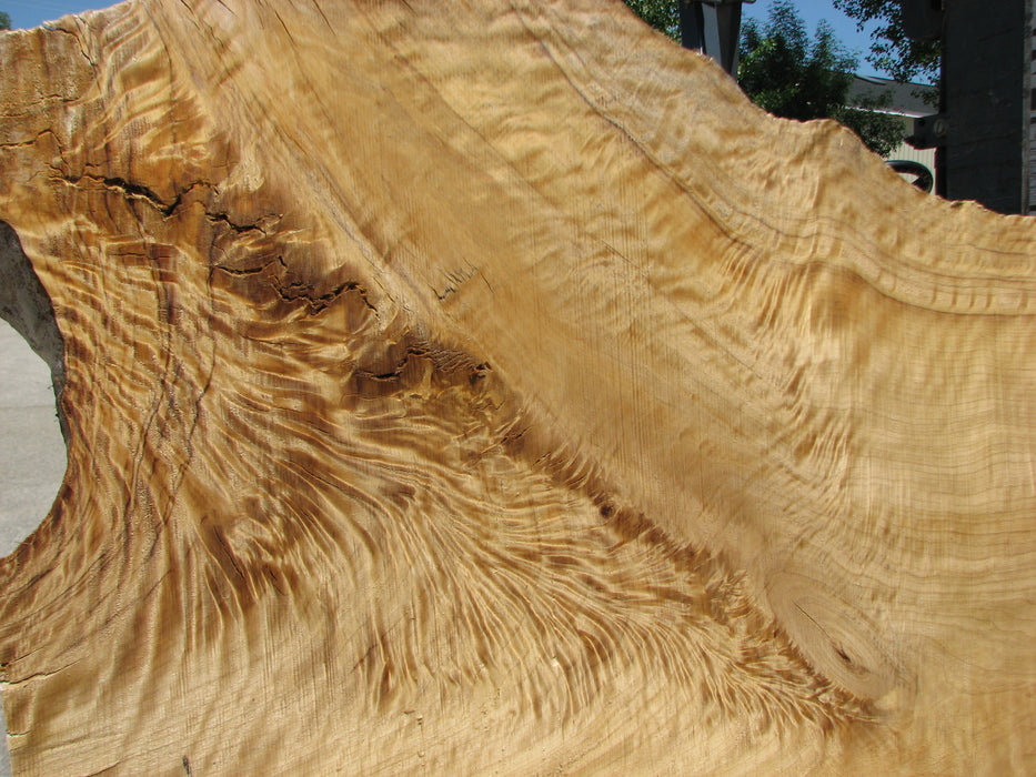 Cottonwood #7413(OC) - 2-3/4" x 29" to 40" x 141" FREE SHIPPING within the Contiguous US. freeshipping - Big Wood Slabs
