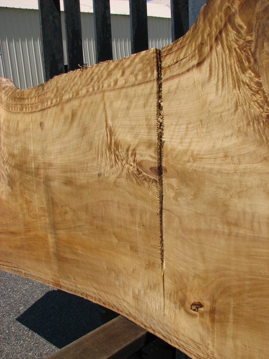 Cottonwood #7413(OC) - 2-3/4" x 29" to 40" x 141" FREE SHIPPING within the Contiguous US. freeshipping - Big Wood Slabs