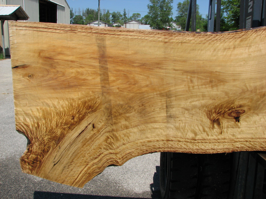 Cottonwood #7413(OC) - 2-3/4" x 29" to 40" x 141" FREE SHIPPING within the Contiguous US. freeshipping - Big Wood Slabs