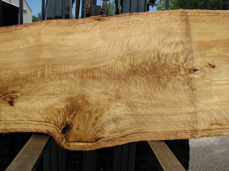 Cottonwood #7413(OC) - 2-3/4" x 29" to 40" x 141" FREE SHIPPING within the Contiguous US. freeshipping - Big Wood Slabs
