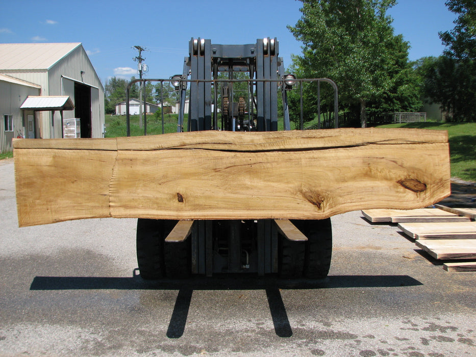 Cottonwood #7414(OC) - 2-1/2" x 17" to 24"and 3"-6" strip x 148" FREE SHIPPING within the Contiguous US. freeshipping - Big Wood Slabs