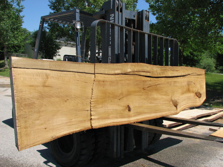 Cottonwood #7414(OC) - 2-1/2" x 17" to 24"and 3"-6" strip x 148" FREE SHIPPING within the Contiguous US. freeshipping - Big Wood Slabs