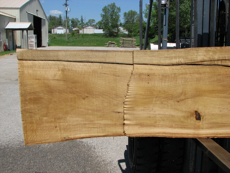 Cottonwood #7414(OC) - 2-1/2" x 17" to 24"and 3"-6" strip x 148" FREE SHIPPING within the Contiguous US. freeshipping - Big Wood Slabs