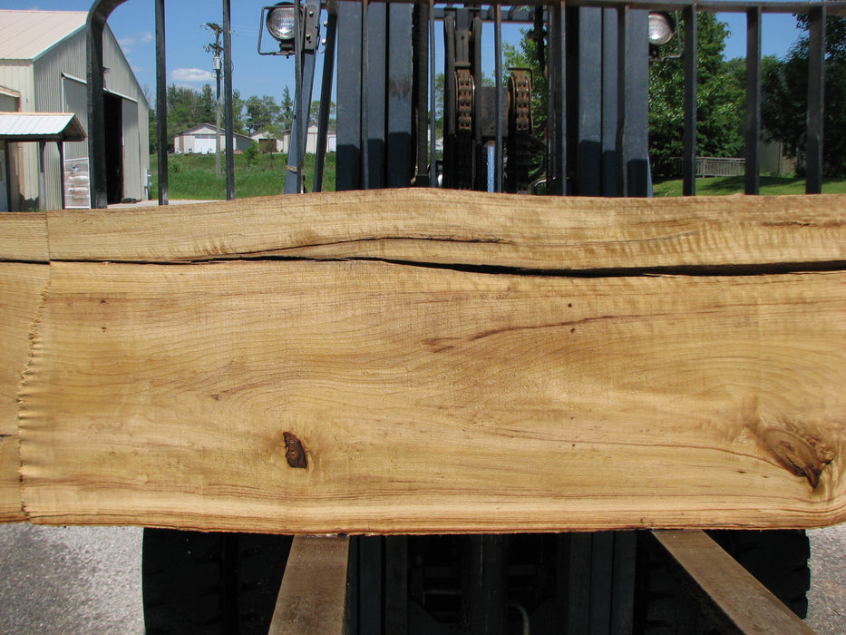 Cottonwood #7414(OC) - 2-1/2" x 17" to 24"and 3"-6" strip x 148" FREE SHIPPING within the Contiguous US. freeshipping - Big Wood Slabs