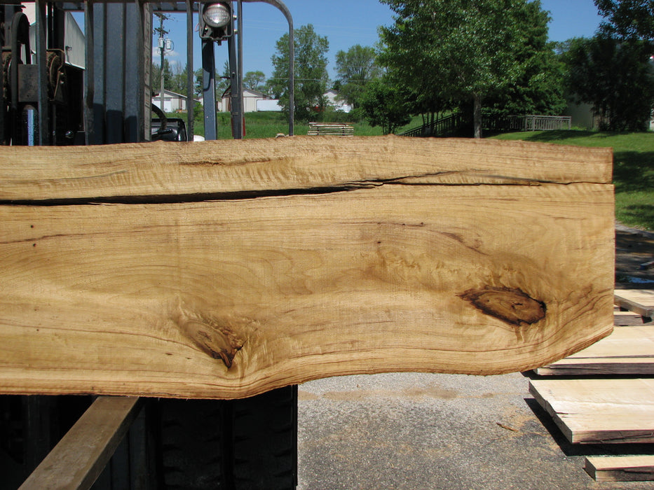 Cottonwood #7414(OC) - 2-1/2" x 17" to 24"and 3"-6" strip x 148" FREE SHIPPING within the Contiguous US. freeshipping - Big Wood Slabs