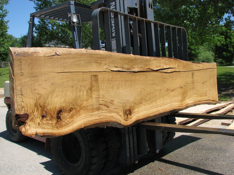 Cottonwood #7414(OC) - 2-1/2" x 17" to 24"and 3"-6" strip x 148" FREE SHIPPING within the Contiguous US. freeshipping - Big Wood Slabs