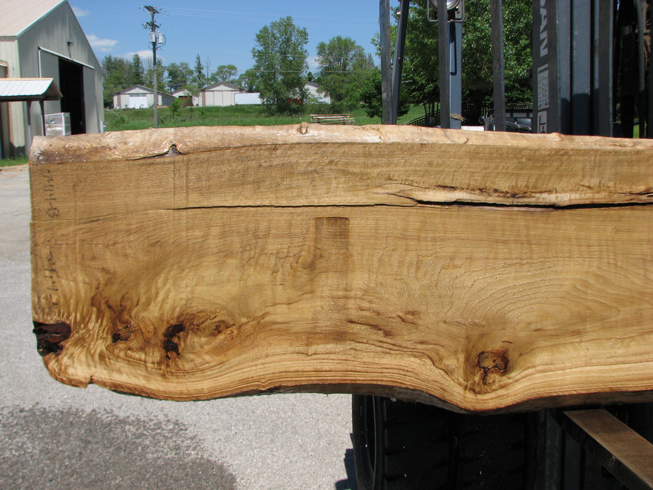 Cottonwood #7414(OC) - 2-1/2" x 17" to 24"and 3"-6" strip x 148" FREE SHIPPING within the Contiguous US. freeshipping - Big Wood Slabs