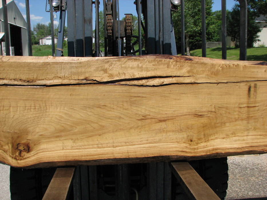 Cottonwood #7414(OC) - 2-1/2" x 17" to 24"and 3"-6" strip x 148" FREE SHIPPING within the Contiguous US. freeshipping - Big Wood Slabs