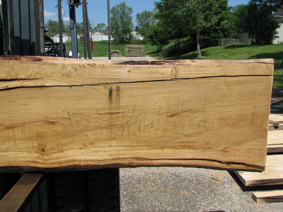 Cottonwood #7414(OC) - 2-1/2" x 17" to 24"and 3"-6" strip x 148" FREE SHIPPING within the Contiguous US. freeshipping - Big Wood Slabs