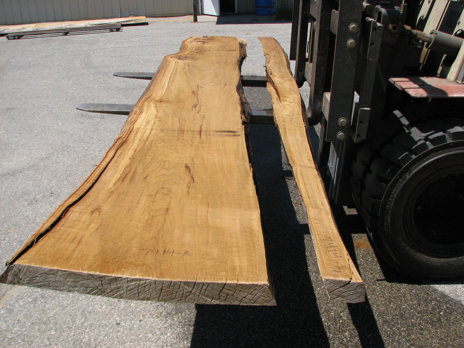 Cottonwood #7414(OC) - 2-1/2" x 17" to 24"and 3"-6" strip x 148" FREE SHIPPING within the Contiguous US. freeshipping - Big Wood Slabs