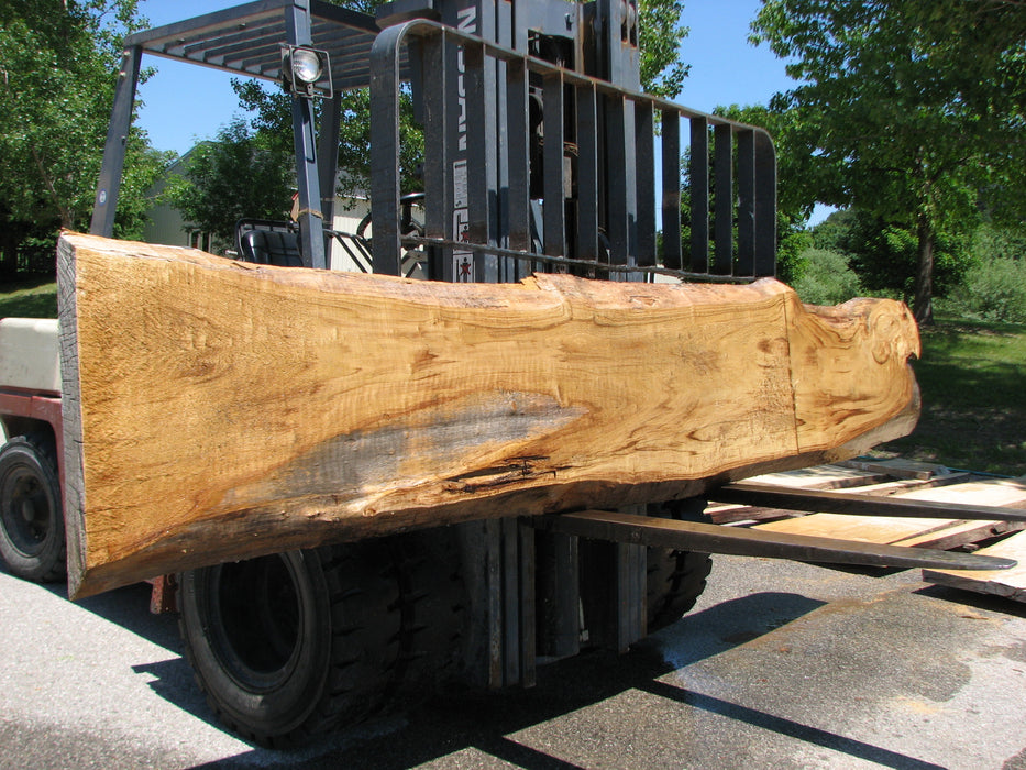 Cottonwood #7415(OC) - 2-3/4" x 16" to 32" x 156" FREE SHIPPING within the Contiguous US. freeshipping - Big Wood Slabs