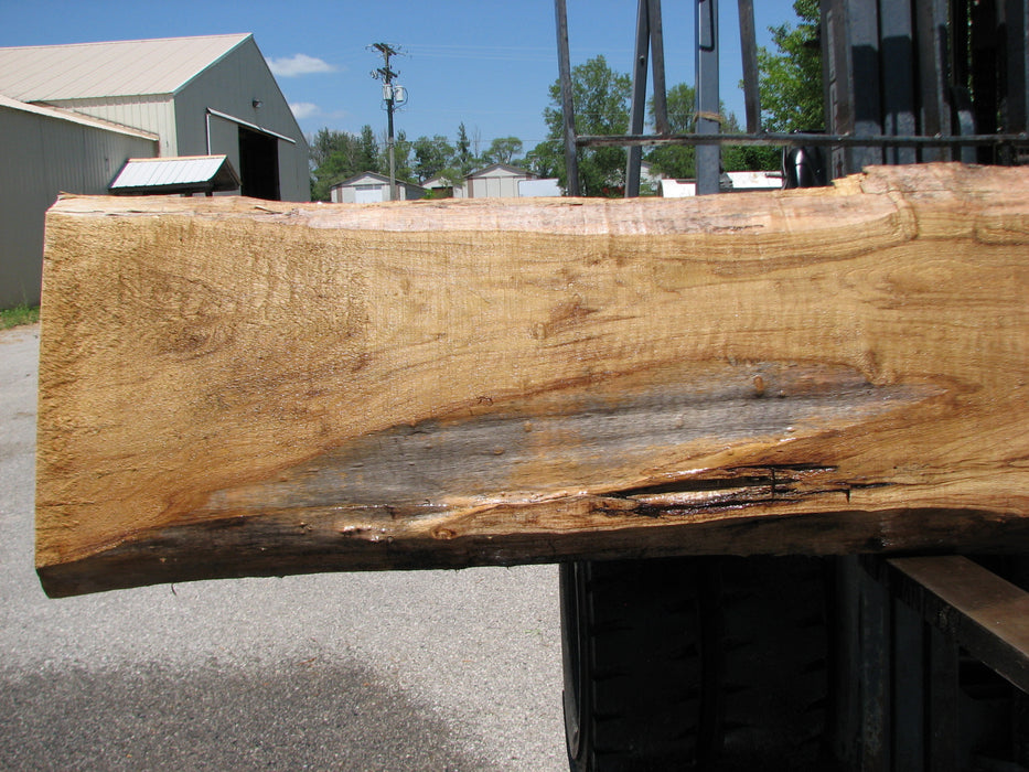 Cottonwood #7415(OC) - 2-3/4" x 16" to 32" x 156" FREE SHIPPING within the Contiguous US. freeshipping - Big Wood Slabs