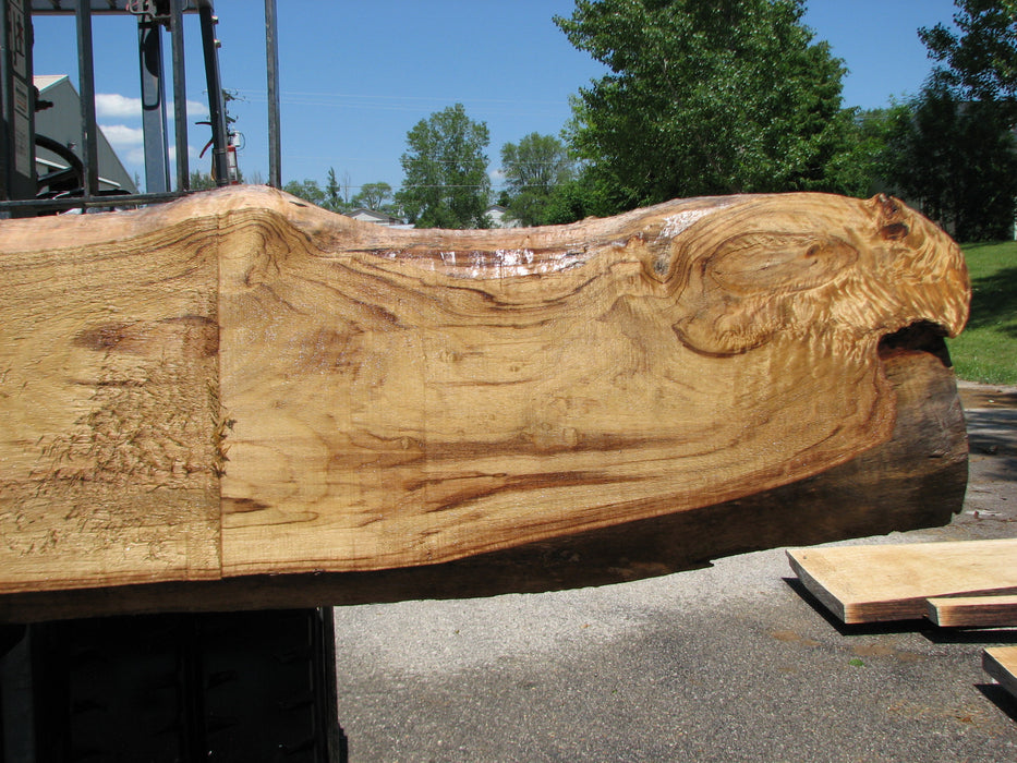 Cottonwood #7415(OC) - 2-3/4" x 16" to 32" x 156" FREE SHIPPING within the Contiguous US. freeshipping - Big Wood Slabs