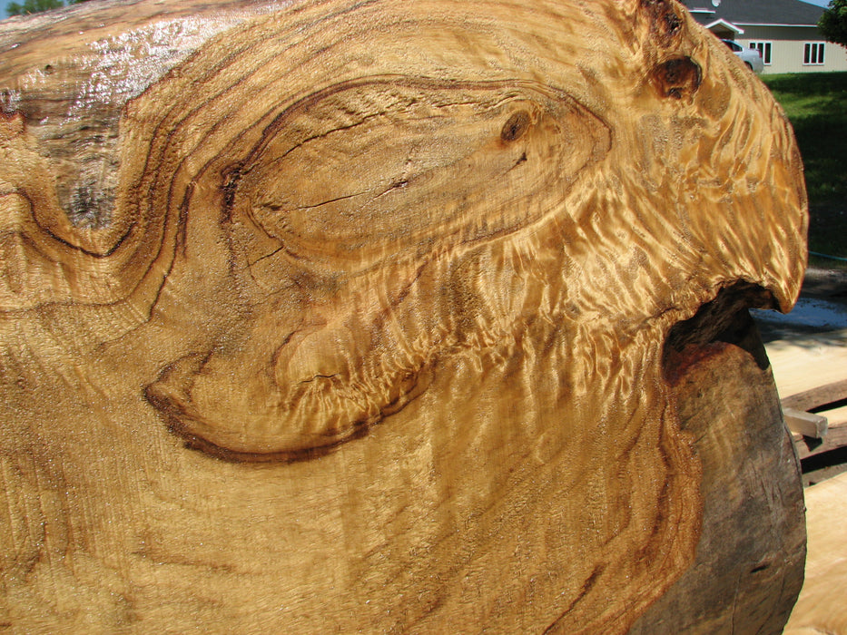 Cottonwood #7415(OC) - 2-3/4" x 16" to 32" x 156" FREE SHIPPING within the Contiguous US. freeshipping - Big Wood Slabs