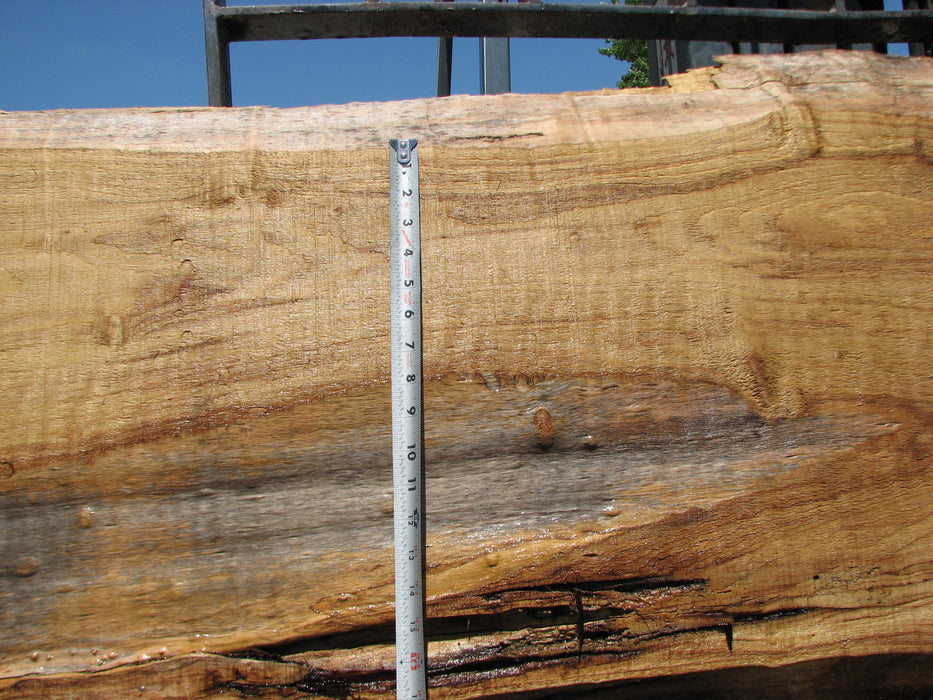 Cottonwood #7415(OC) - 2-3/4" x 16" to 32" x 156" FREE SHIPPING within the Contiguous US. freeshipping - Big Wood Slabs