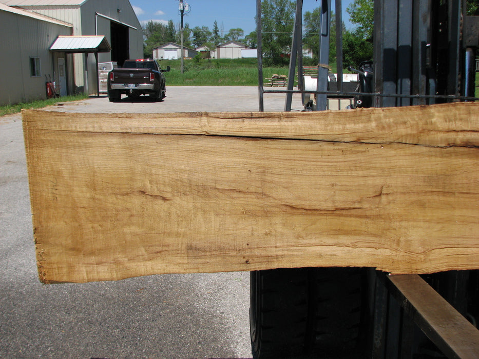Cottonwood #7415(OC) - 2-3/4" x 16" to 32" x 156" FREE SHIPPING within the Contiguous US. freeshipping - Big Wood Slabs