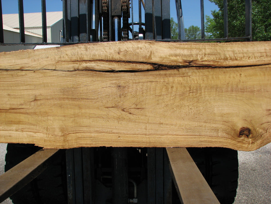 Cottonwood #7415(OC) - 2-3/4" x 16" to 32" x 156" FREE SHIPPING within the Contiguous US. freeshipping - Big Wood Slabs