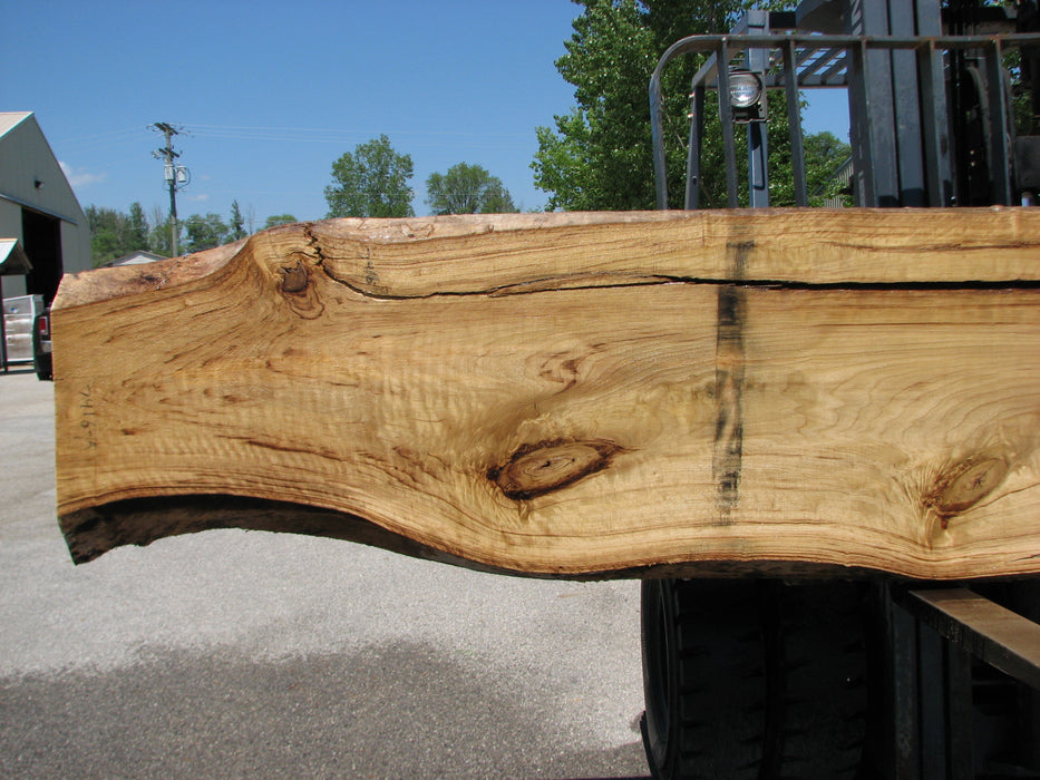 Cottonwood #7416(OC) - 2-1/2" x 17" to 27"and 3"-6" strip x 175" FREE SHIPPING within the Contiguous US. freeshipping - Big Wood Slabs