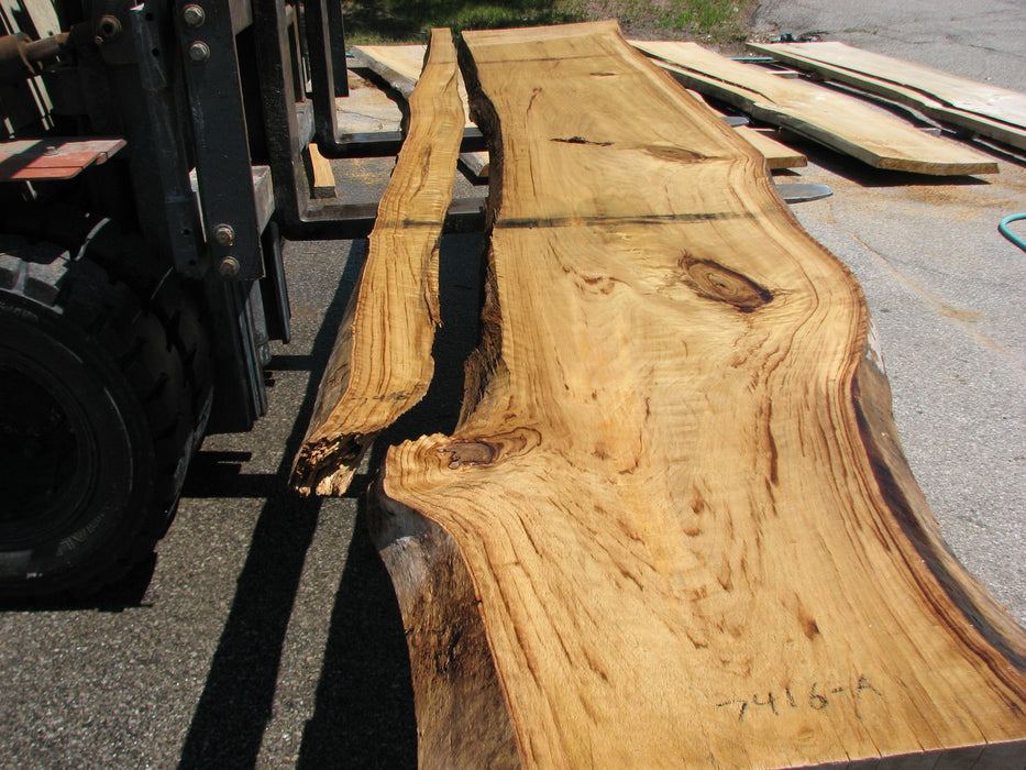 Cottonwood #7416(OC) - 2-1/2" x 17" to 27"and 3"-6" strip x 175" FREE SHIPPING within the Contiguous US. freeshipping - Big Wood Slabs