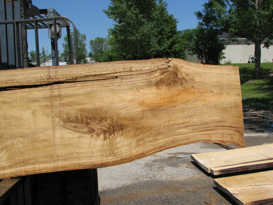 Cottonwood #7416(OC) - 2-1/2" x 17" to 27"and 3"-6" strip x 175" FREE SHIPPING within the Contiguous US. freeshipping - Big Wood Slabs