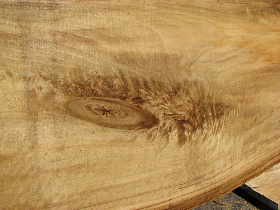 Cottonwood #7416(OC) - 2-1/2" x 17" to 27"and 3"-6" strip x 175" FREE SHIPPING within the Contiguous US. freeshipping - Big Wood Slabs