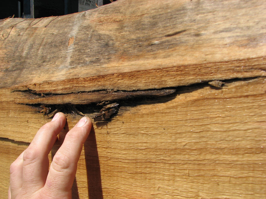 Cottonwood #7419(OC) - 2-1/2" x 16" to 30" x 163" FREE SHIPPING within the Contiguous US. freeshipping - Big Wood Slabs