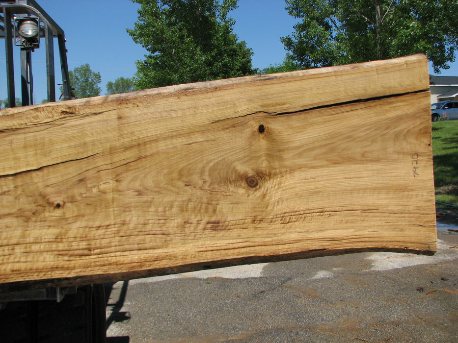 Cottonwood #7420(OC) - 2-1/4" x 24" to 31" x 166" FREE SHIPPING within the Contiguous US. freeshipping - Big Wood Slabs
