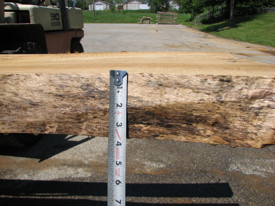 Cottonwood #7421(OC) - 2-1/2" x 29" to 33" x 170" FREE SHIPPING within the Contiguous US. freeshipping - Big Wood Slabs