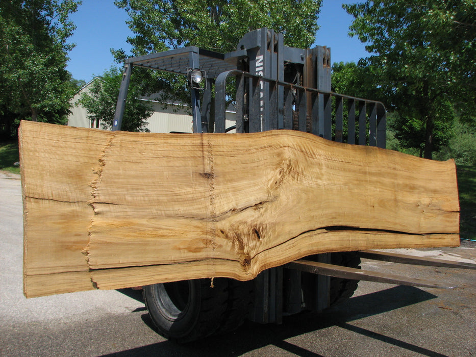 Cottonwood #7421(OC) - 2-1/2" x 29" to 33" x 170" FREE SHIPPING within the Contiguous US. freeshipping - Big Wood Slabs