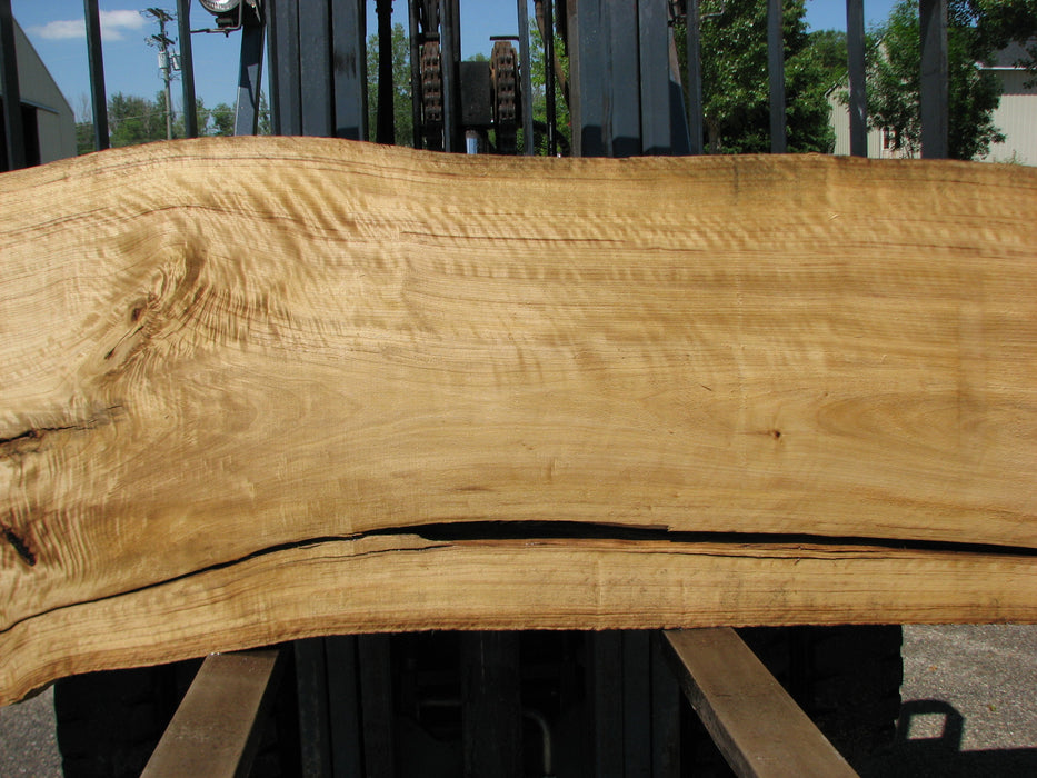 Cottonwood #7421(OC) - 2-1/2" x 29" to 33" x 170" FREE SHIPPING within the Contiguous US. freeshipping - Big Wood Slabs