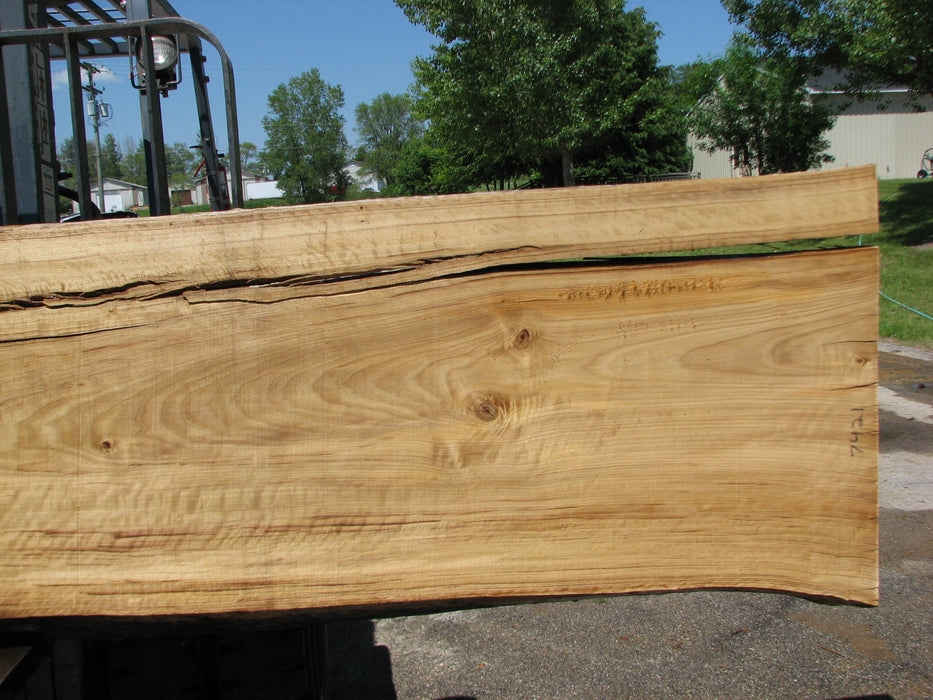 Cottonwood #7421(OC) - 2-1/2" x 29" to 33" x 170" FREE SHIPPING within the Contiguous US. freeshipping - Big Wood Slabs
