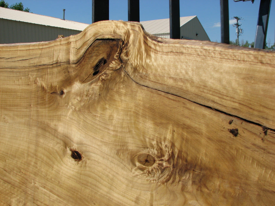 Cottonwood #7421(OC) - 2-1/2" x 29" to 33" x 170" FREE SHIPPING within the Contiguous US. freeshipping - Big Wood Slabs