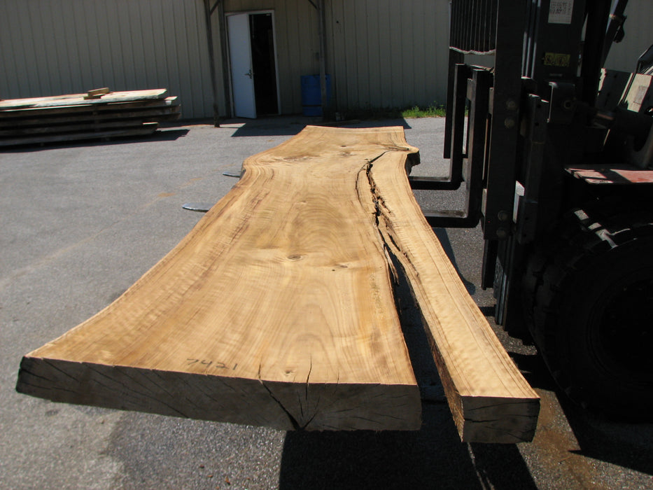 Cottonwood #7421(OC) - 2-1/2" x 29" to 33" x 170" FREE SHIPPING within the Contiguous US. freeshipping - Big Wood Slabs