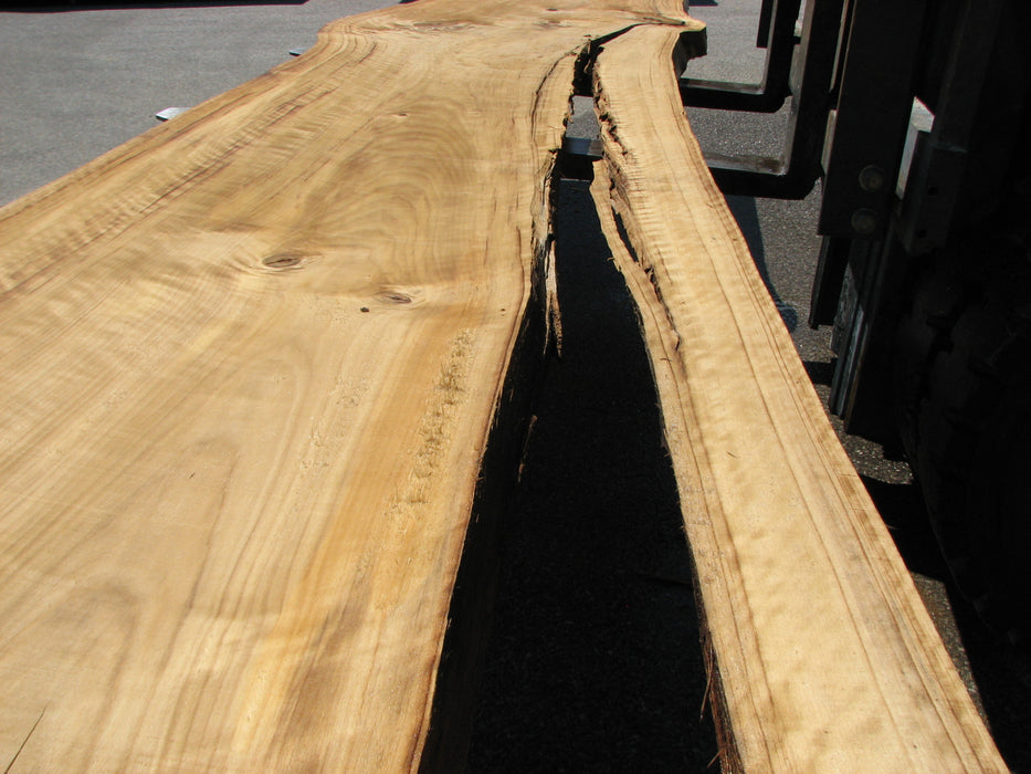 Cottonwood #7421(OC) - 2-1/2" x 29" to 33" x 170" FREE SHIPPING within the Contiguous US. freeshipping - Big Wood Slabs