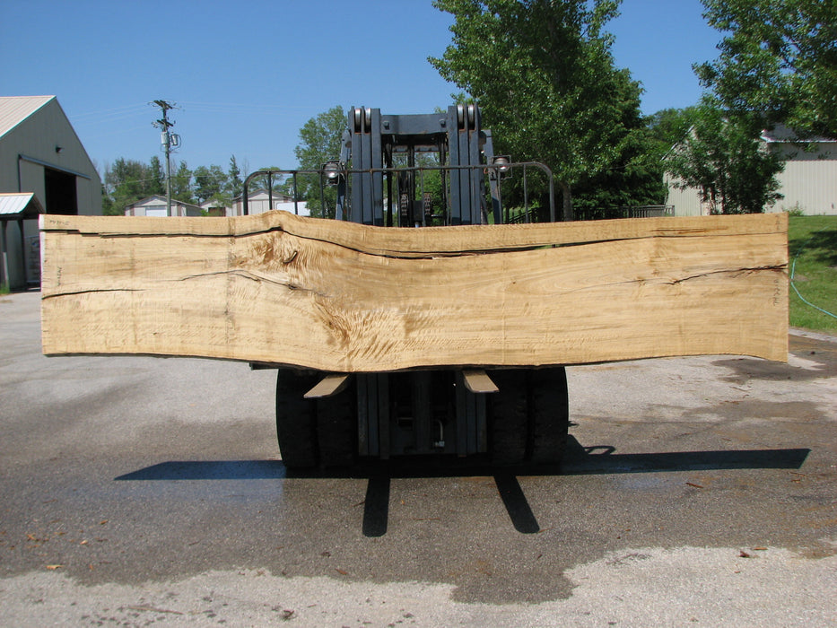 Cottonwood #7422(OC) - 3" x 24" to 30"and 3"-7" strip x 174" FREE SHIPPING within the Contiguous US. freeshipping - Big Wood Slabs
