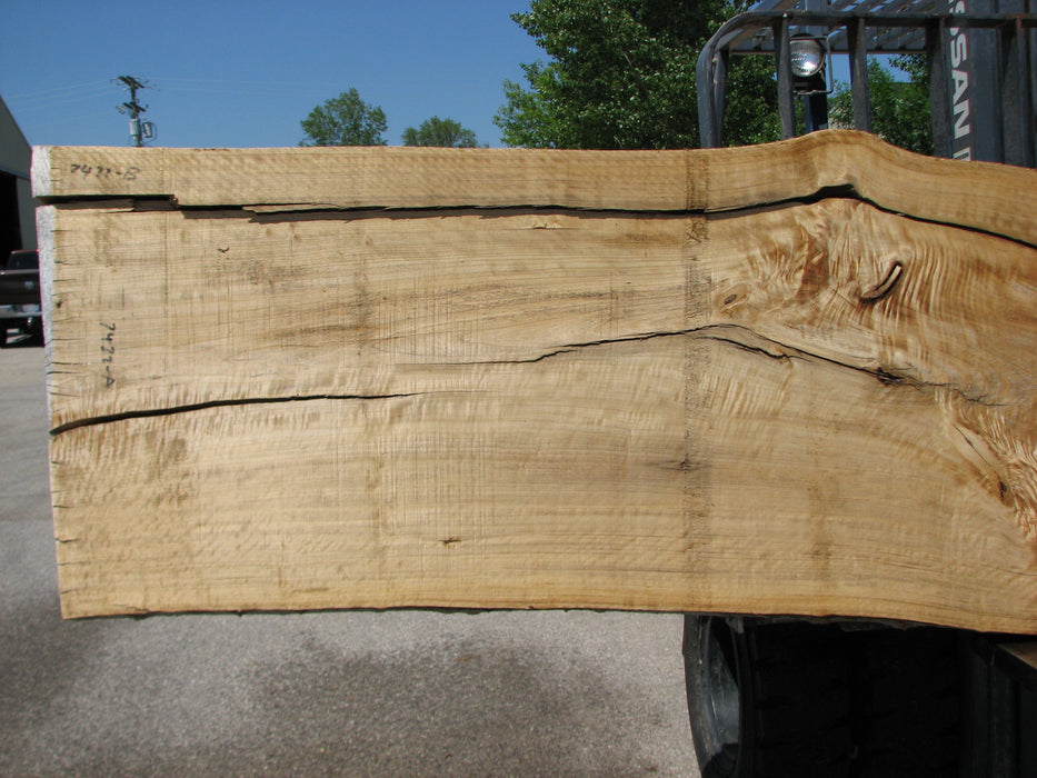 Cottonwood #7422(OC) - 3" x 24" to 30"and 3"-7" strip x 174" FREE SHIPPING within the Contiguous US. freeshipping - Big Wood Slabs