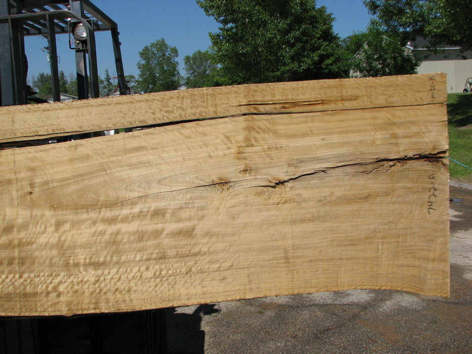 Cottonwood #7422(OC) - 3" x 24" to 30"and 3"-7" strip x 174" FREE SHIPPING within the Contiguous US. freeshipping - Big Wood Slabs