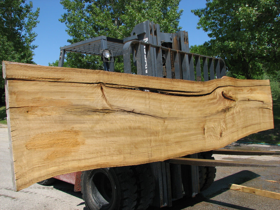 Cottonwood #7422(OC) - 3" x 24" to 30"and 3"-7" strip x 174" FREE SHIPPING within the Contiguous US. freeshipping - Big Wood Slabs