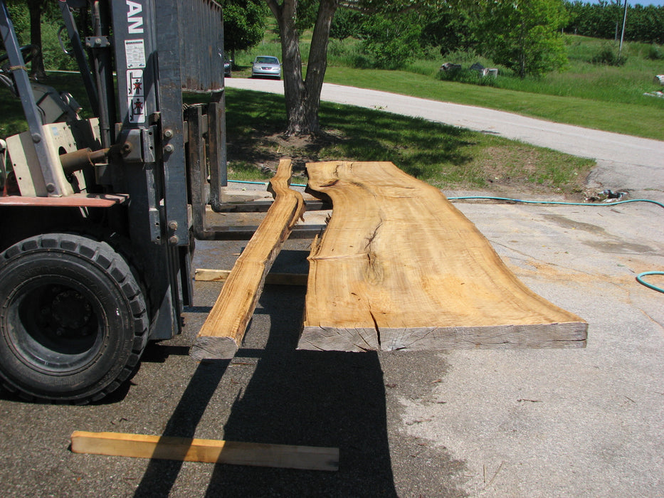 Cottonwood #7422(OC) - 3" x 24" to 30"and 3"-7" strip x 174" FREE SHIPPING within the Contiguous US. freeshipping - Big Wood Slabs