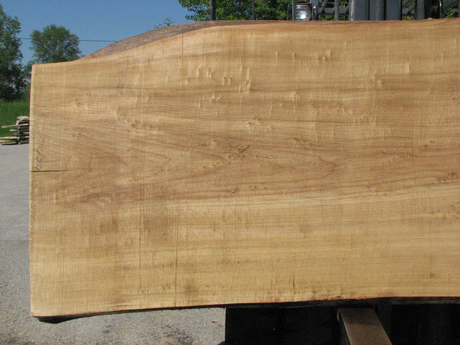 Cottonwood #7424(OC) - 2-1/4" x 37" to 49" x 117" FREE SHIPPING within the Contiguous US. freeshipping - Big Wood Slabs
