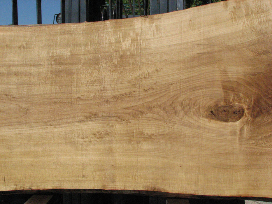 Cottonwood #7424(OC) - 2-1/4" x 37" to 49" x 117" FREE SHIPPING within the Contiguous US. freeshipping - Big Wood Slabs
