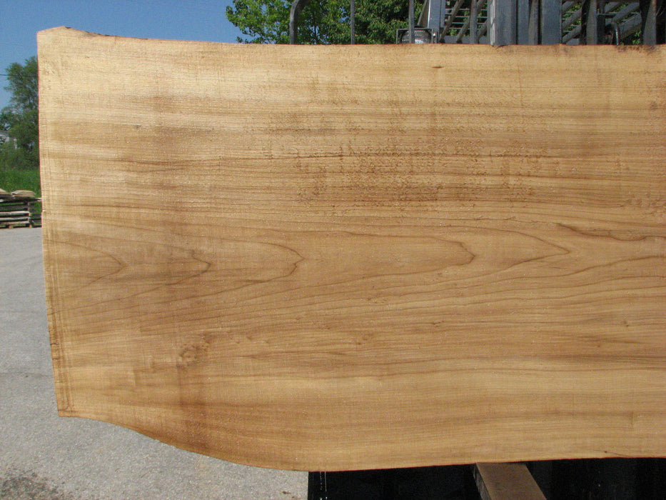 Cottonwood #7424(OC) - 2-1/4" x 37" to 49" x 117" FREE SHIPPING within the Contiguous US. freeshipping - Big Wood Slabs