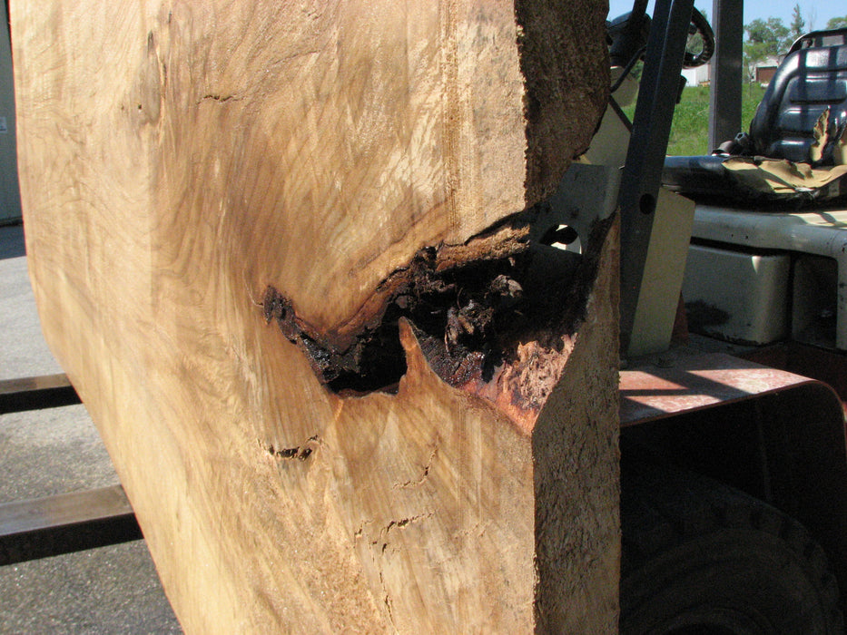 Cottonwood #7424(OC) - 2-1/4" x 37" to 49" x 117" FREE SHIPPING within the Contiguous US. freeshipping - Big Wood Slabs